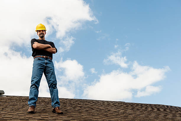 Roof Gutter Cleaning in Lakeview, OH