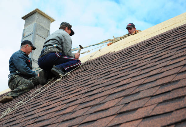 Best Emergency Roof Repair  in Lakeview, OH